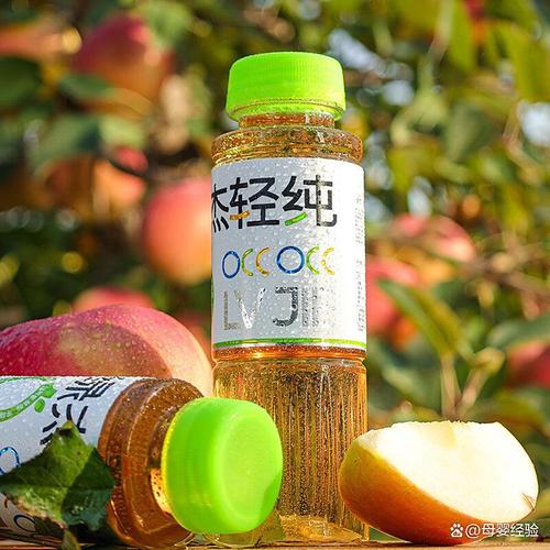 绿杰果汁哪款适合家用,健康又美味的选择
